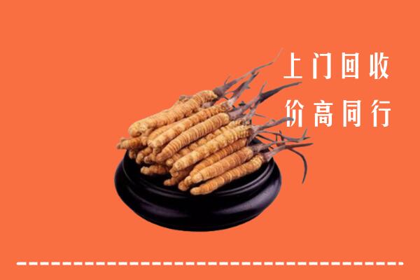 高价求购：重庆云阳县回收散虫草