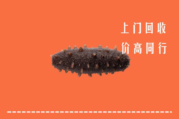 高价求购：重庆云阳县回收海参